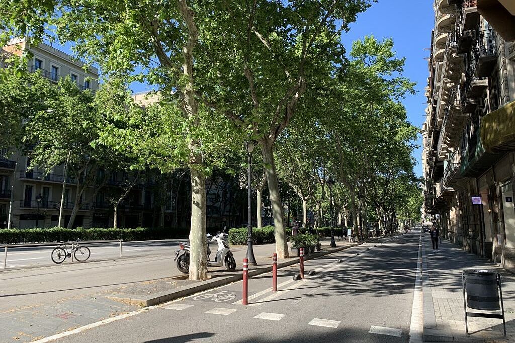 Ein geschützter Radweg auf einer Hauptstraße
